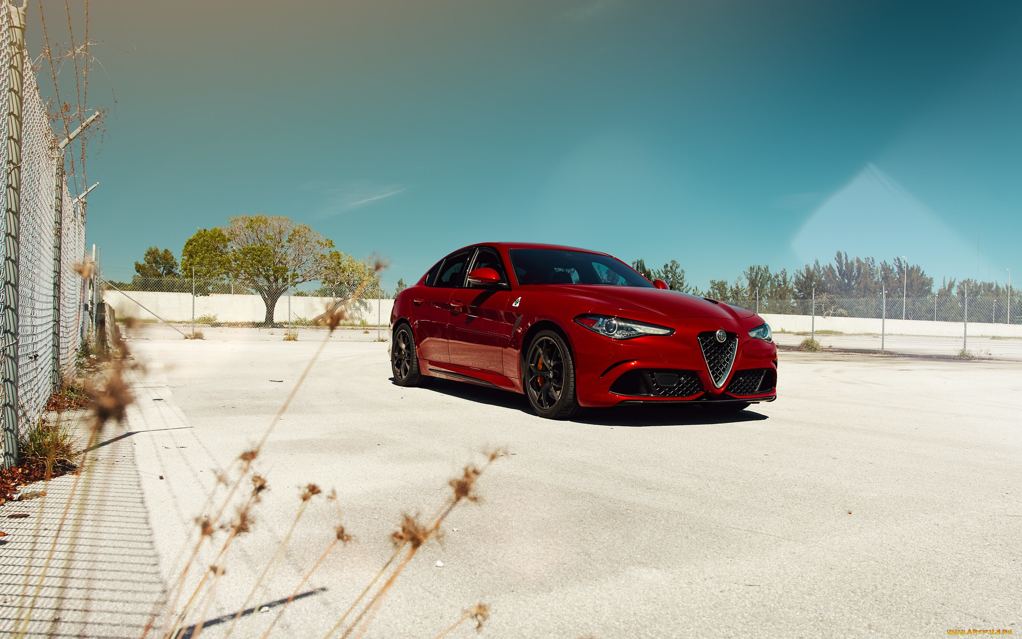 , alfa romeo, red, quadrifoglio, giulia